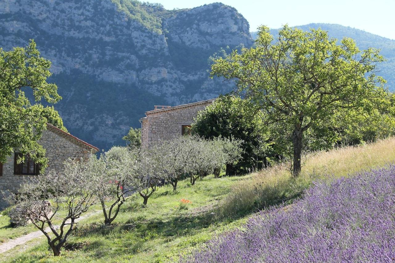 Bed and Breakfast Entre Terre Et Ciel Rémuzat Esterno foto